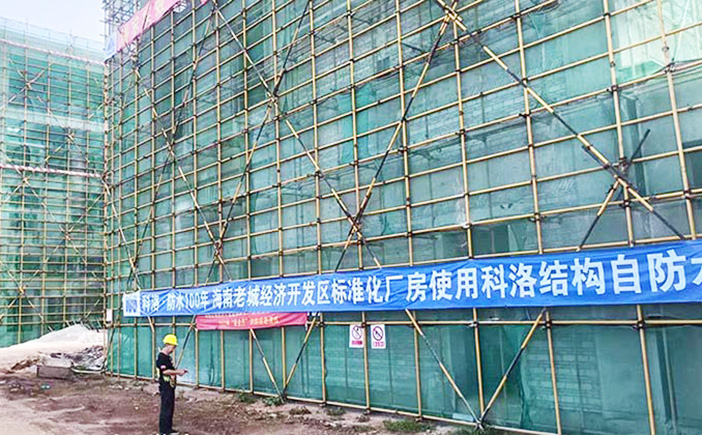 海南老城經(jīng)濟開發(fā)區(qū)標(biāo)準(zhǔn)化廠房項項目使用科洛結(jié)構(gòu)自防水