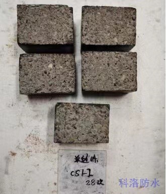 自制-CS1-2 28次循環。